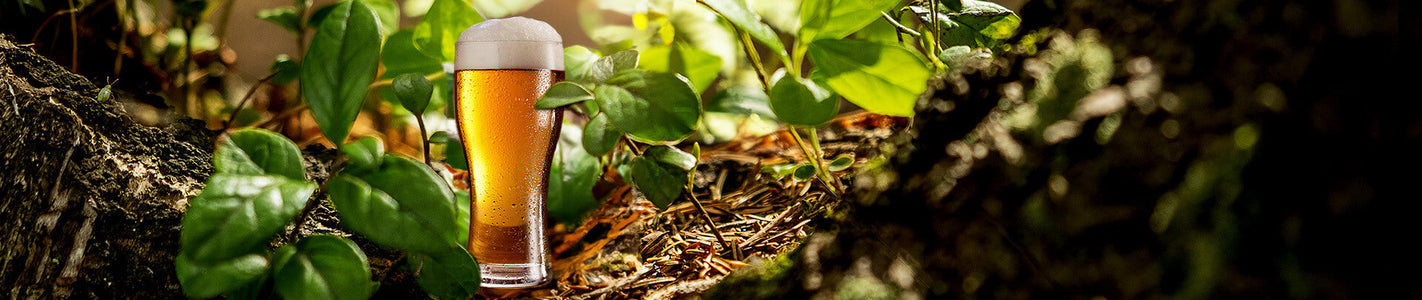 Vegan beer guide: which beers are vegan?