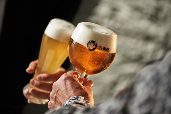 Alcohol Free Beer Guide