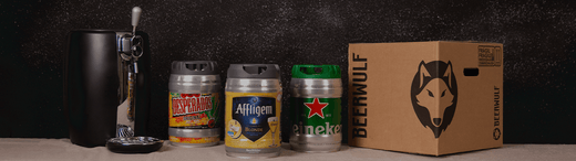 BeerTender: How It Works