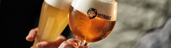 Ultimate Beer for Beginners Guide