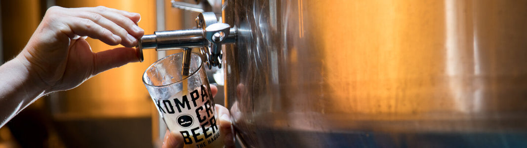 Yeast Fermentation in Beer: Ale vs Lager Explained