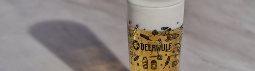 Light beers for Summer