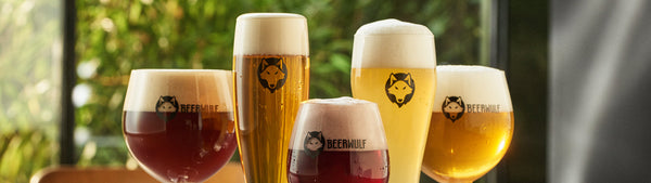 Types of beer glasses