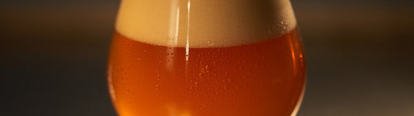 The Top 10 IPA Beers