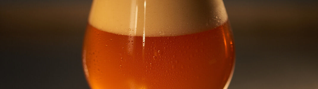 The Top 10 IPA Beers